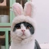 弹学家