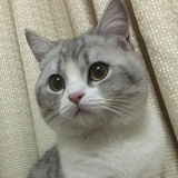 豆友198064542