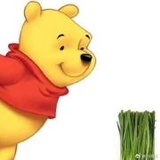 PETX亚洲善待星