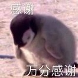一句顶十个响屁