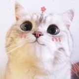吹吹小呆毛