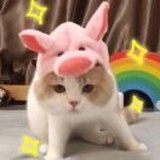 (o^^o)