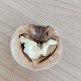旧时光的墙