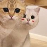 o_o