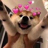 YQ倩