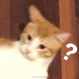 amurot