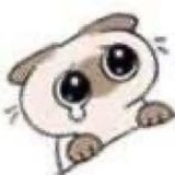 瓣友4556