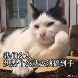 瓜龄少女