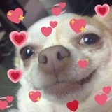 ㄴ ㅏ ㅁ