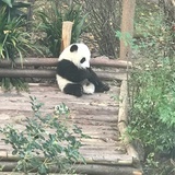 不想被知道是谁