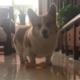 暖洋洋阿