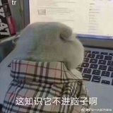 正初