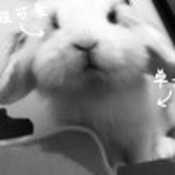 失孤青年