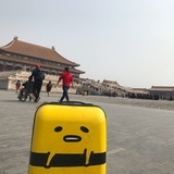 齐小白