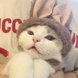 小十三