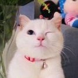 Liu.