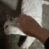 汝可识得此阵