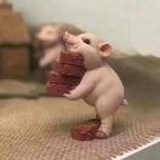 兔兔