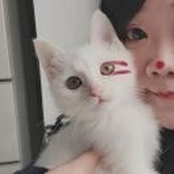 🌝Zwcat