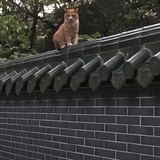 豆友198395314