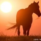 风和日暄🐎