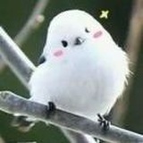 清欢