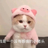 这都是什么东西