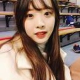 兔寶