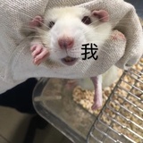 两颗柠檬茶