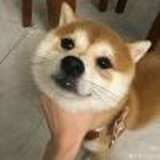 今天早睡了吗