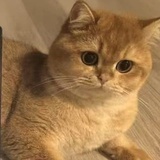 都疯了吧