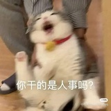 蜂蜜柚子茶
