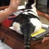 然