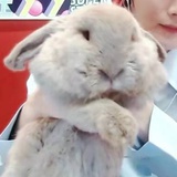 麻辣不吃辣