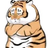 当随满月开