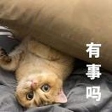 资深潜水运动员