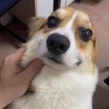 起床啦