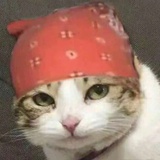 网友蓝领巾