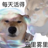 碎了