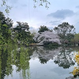 🌌穿花蝴蝶🦋