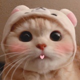 肉丸子