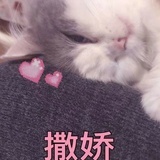 江湖骗子张三