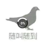 对酒当鸽的鸽