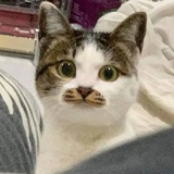 已注销