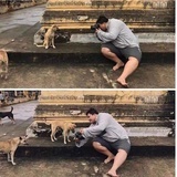 容唱难弦