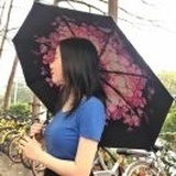 白洁