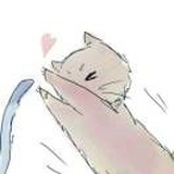 西皮