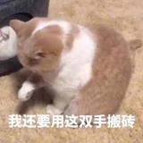 五一麻麻