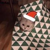 😺