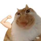 kuno
